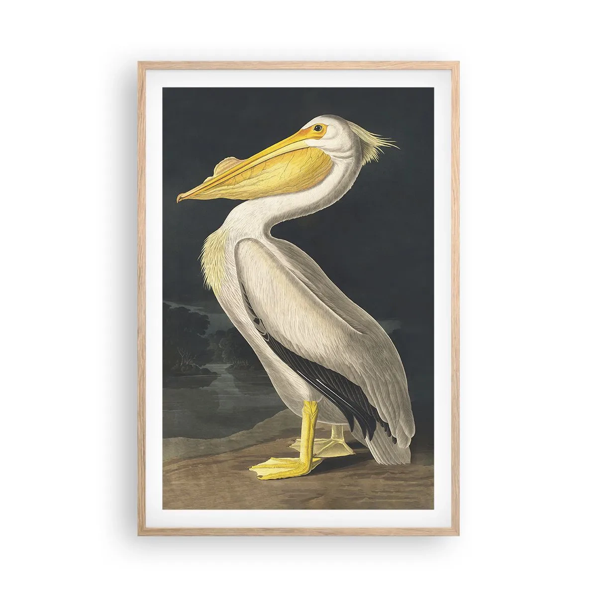 Affisch i ram av ljusek - Full av stolthet - 61x91 cm