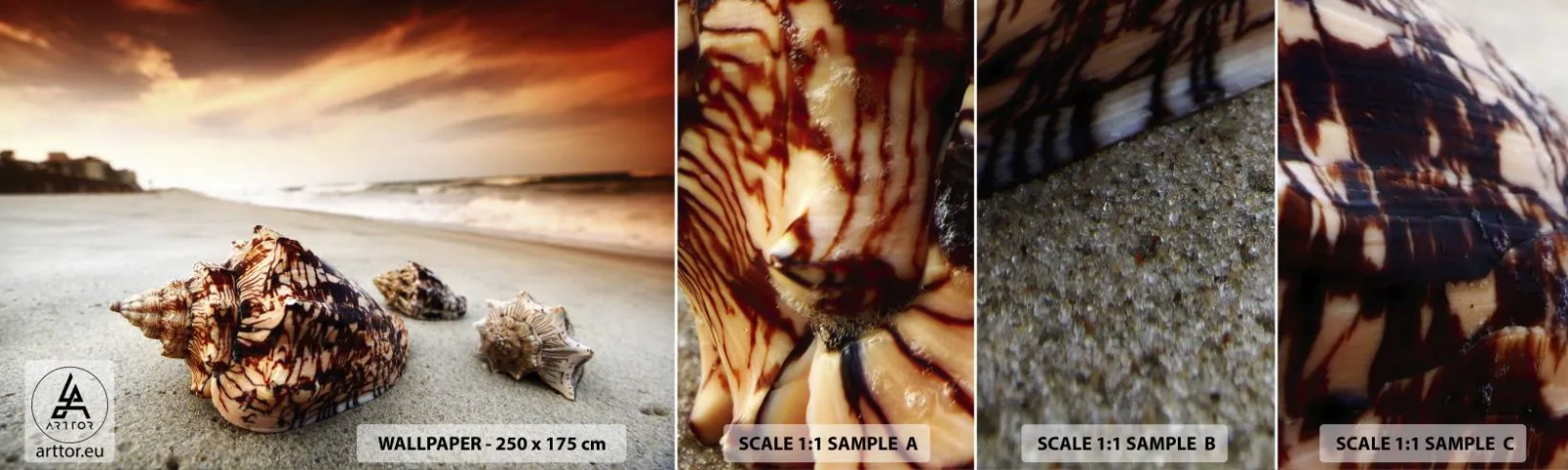 Fototapet Prov Standard Eco - Vågböjare - Landskap, Hav, Snäckskal - 100x30 cm