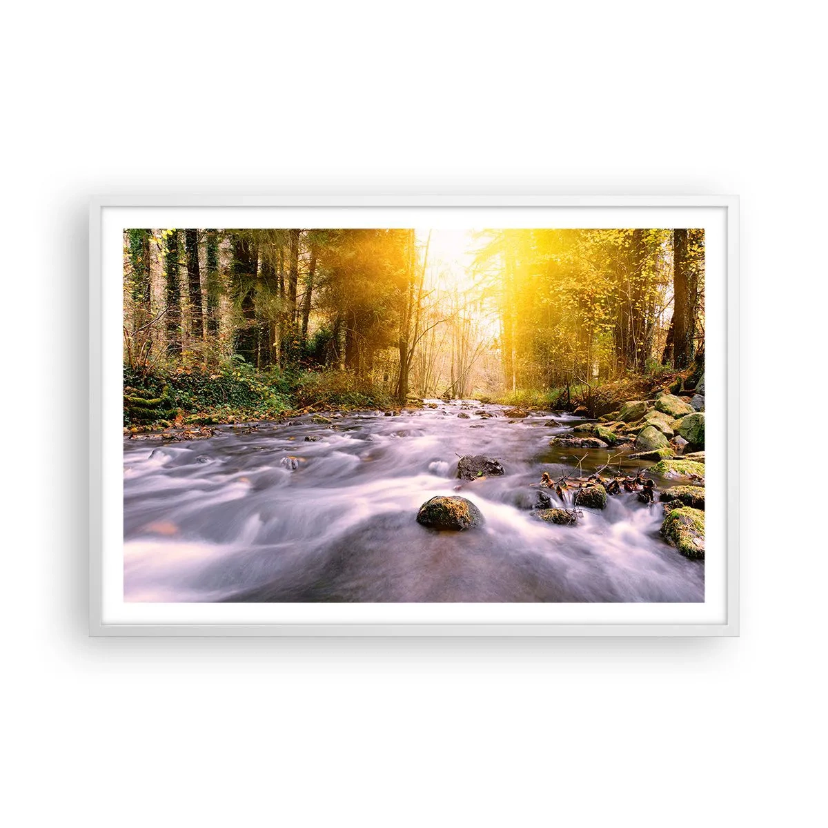 Affisch i vit ram - Malakit i silver-guld infattning - 91x61 cm