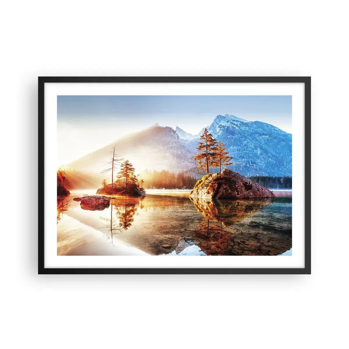 Affisch i svart ram - Naturen i ett nytt ljus - 70x50 cm