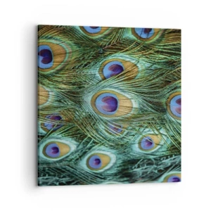 Canvastavla - Bild på duk - Påfågels blick - 70x70 cm