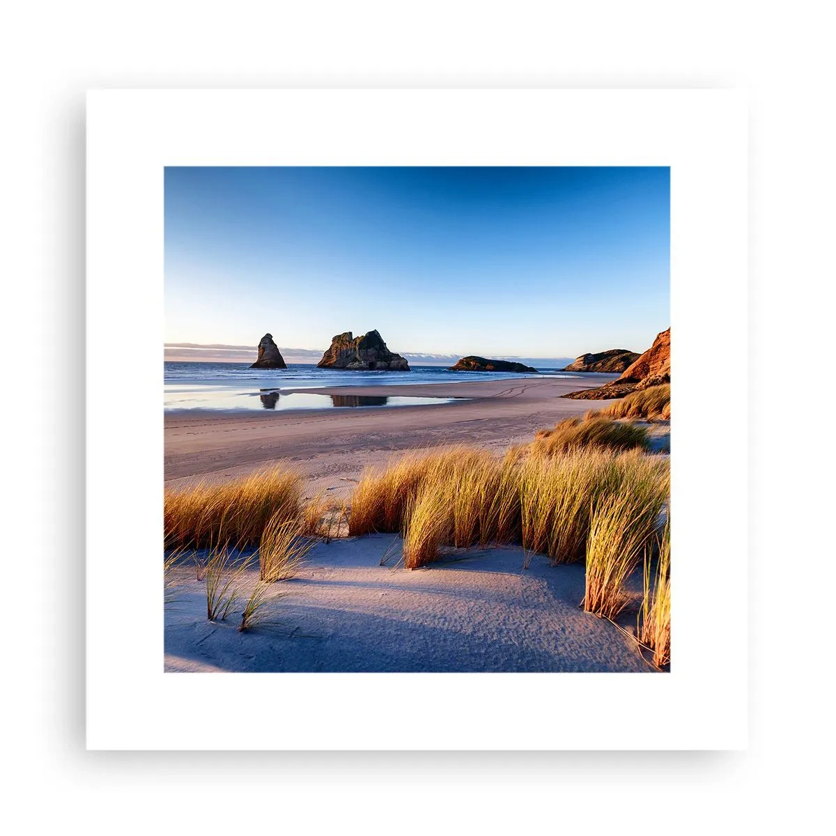 Affisch - För fredssökare - 30x30 cm