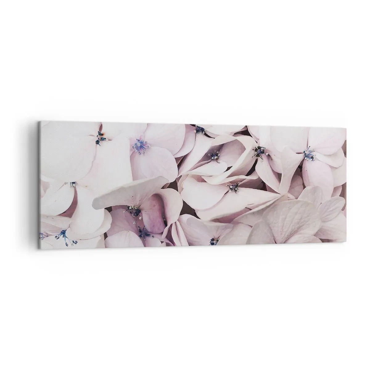 Canvastavla - Bild på duk - I en flod av blommor - 140x50 cm