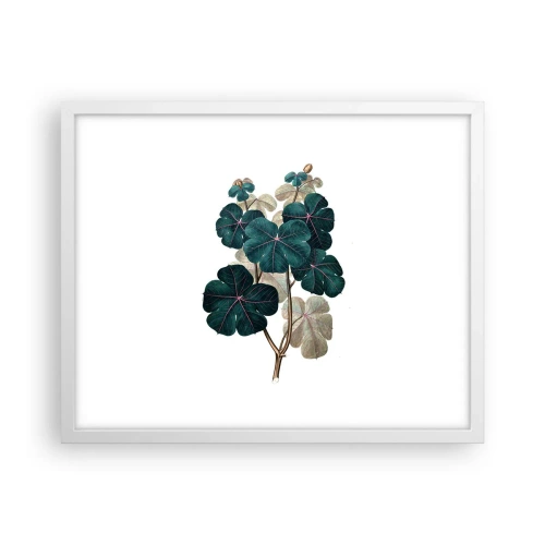 Affisch i vit ram - Från ett gammalt herbarium - 50x40 cm