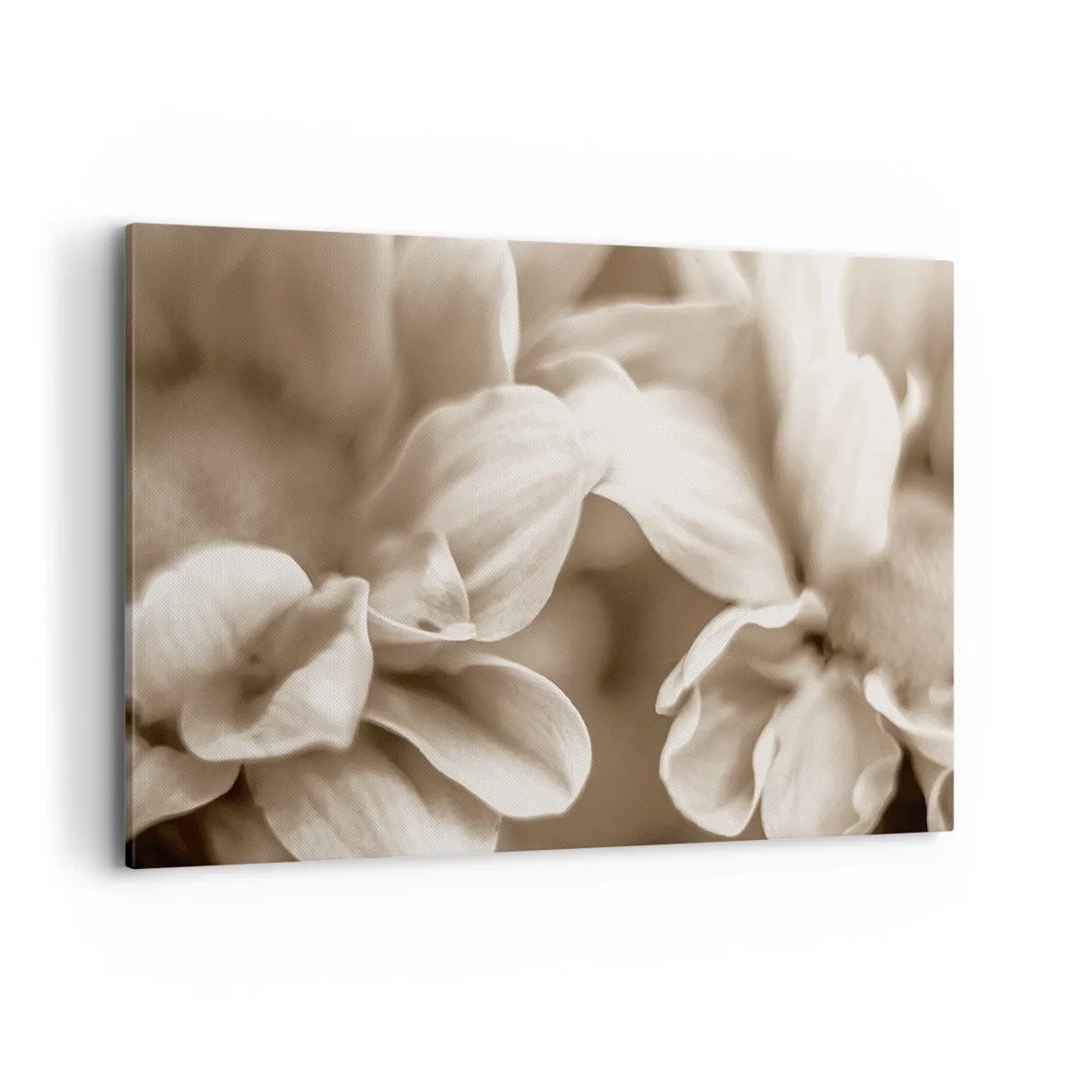 Canvastavla - Bild på duk - Milda som ett leende - 120x80 cm