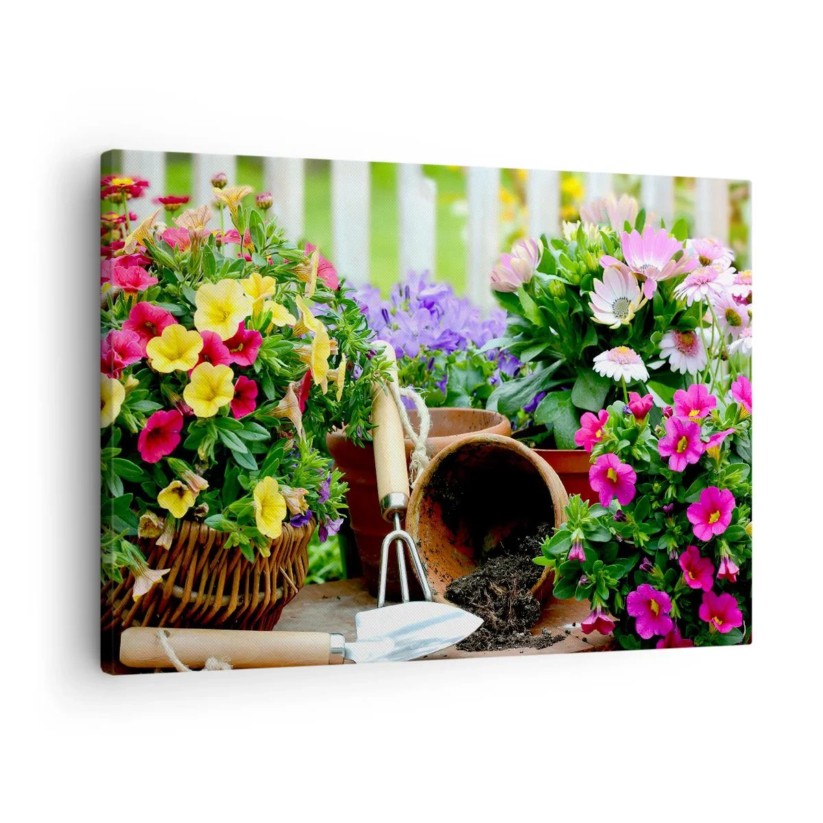 Canvastavla - Bild på duk - Färgglada blommor i krukor med trädgårdsredskap på bordet - 70x50cm - Sofias lilla trädgård - Modern väggdekoration för vardagsrum och sovrum ARTTOR