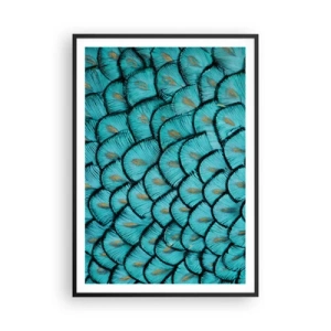 Affisch i svart ram - Den stora fjädergalan - 70x100 cm