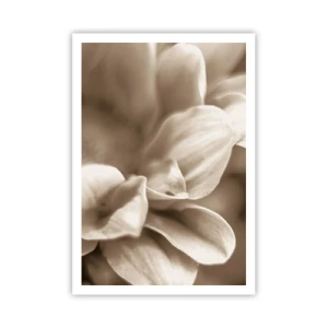 Affisch - Milda som ett leende - 70x100 cm