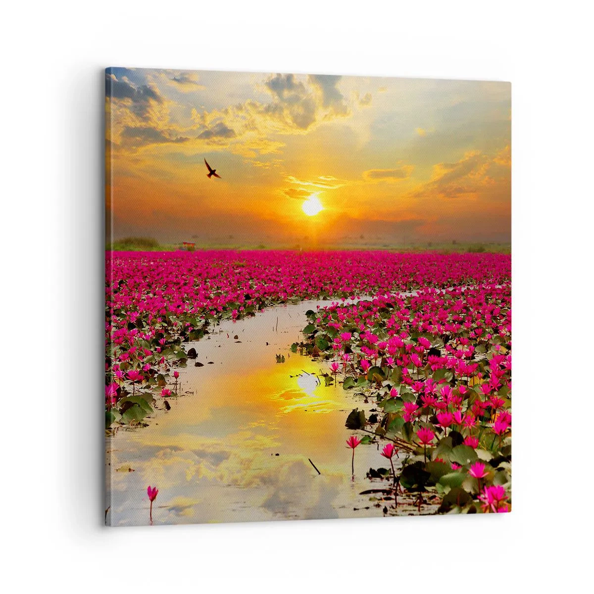 Canvastavla - Bild på duk - Sjöns hemlighetsfulla liv - 60x60 cm