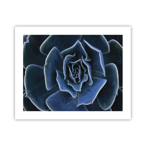 Affisch - Öknens blomma - 50x40 cm