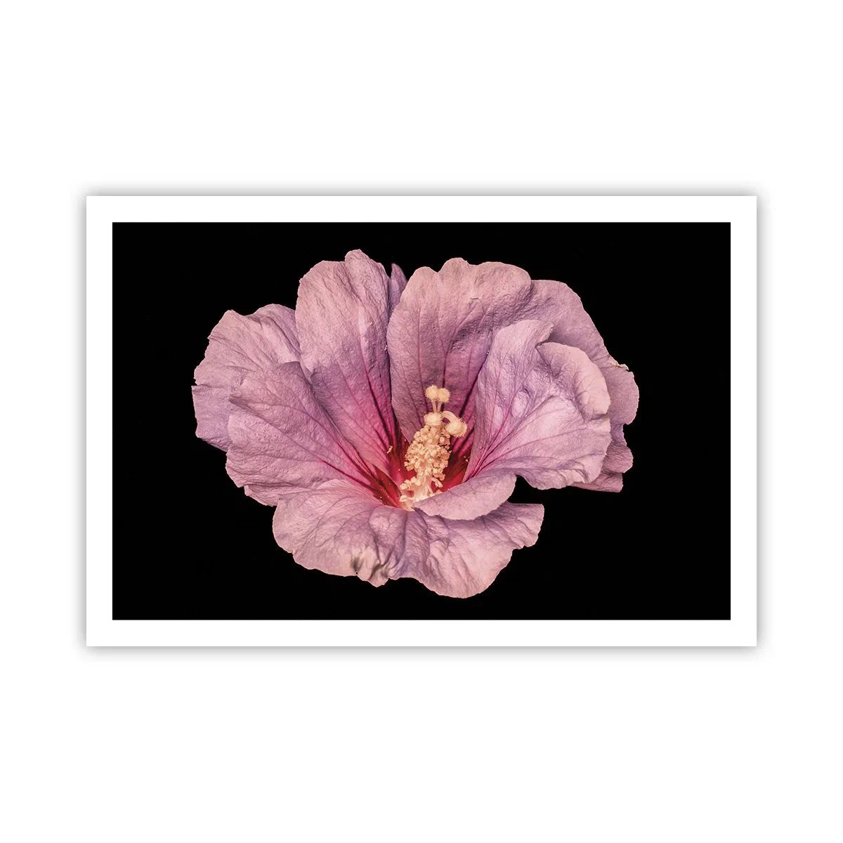 Affisch - Rakt till hjärtat - 91x61 cm