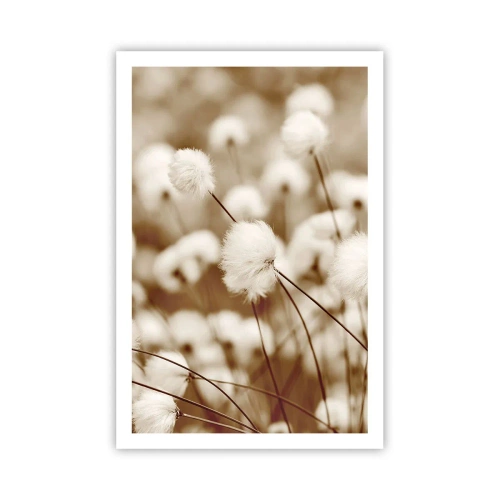Affisch - Fluffig åkermark - 61x91 cm