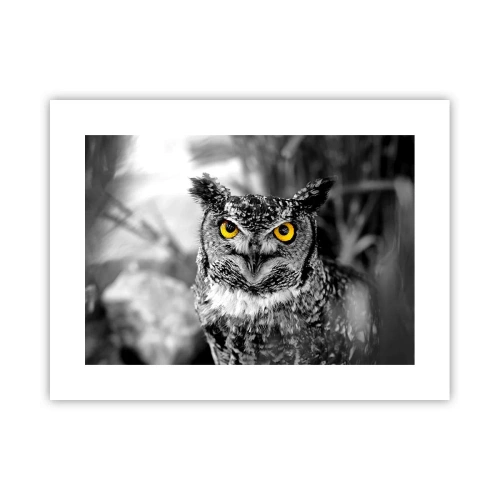 Affisch - Inget kommer undan - 40x30 cm