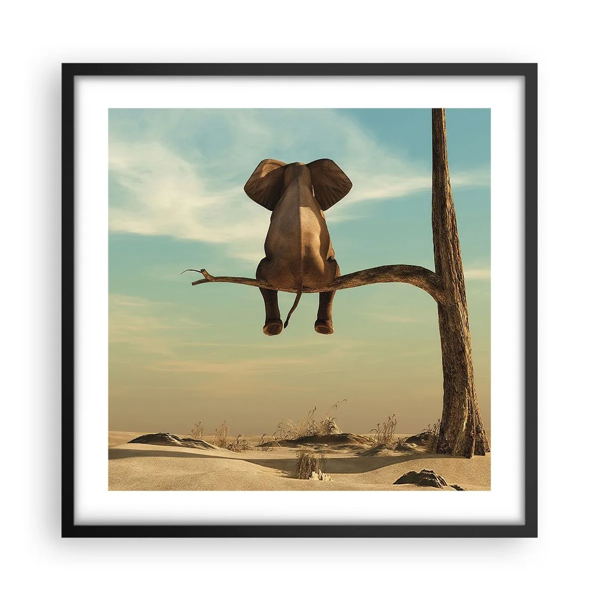 Affisch i svart ram - Ny synvinkel - 50x50 cm