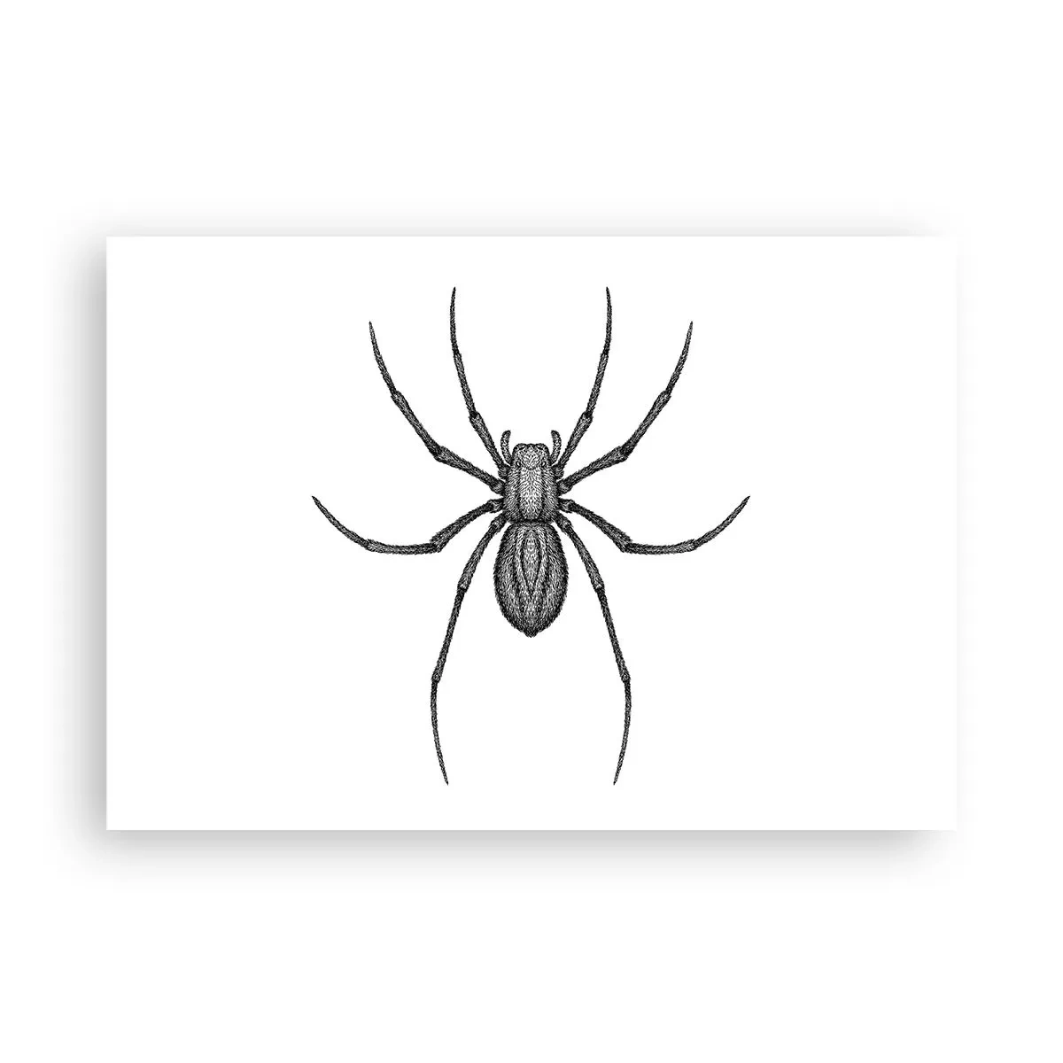 Affisch - Oroväckande precision - 100x70 cm