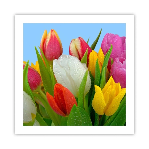 Affisch - blommig regnbåge i daggdroppar - 50x50 cm