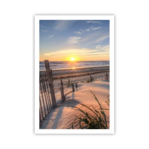 Affisch - Vindens sken och skugga - 61x91 cm