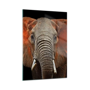 Glastavla - Bild på glas - Jag är vild, och du? - 50x70 cm