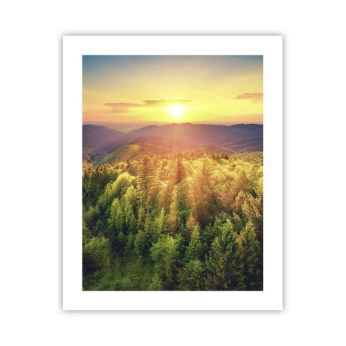 Affisch - Trädtoppar och bergstoppar - 40x50 cm