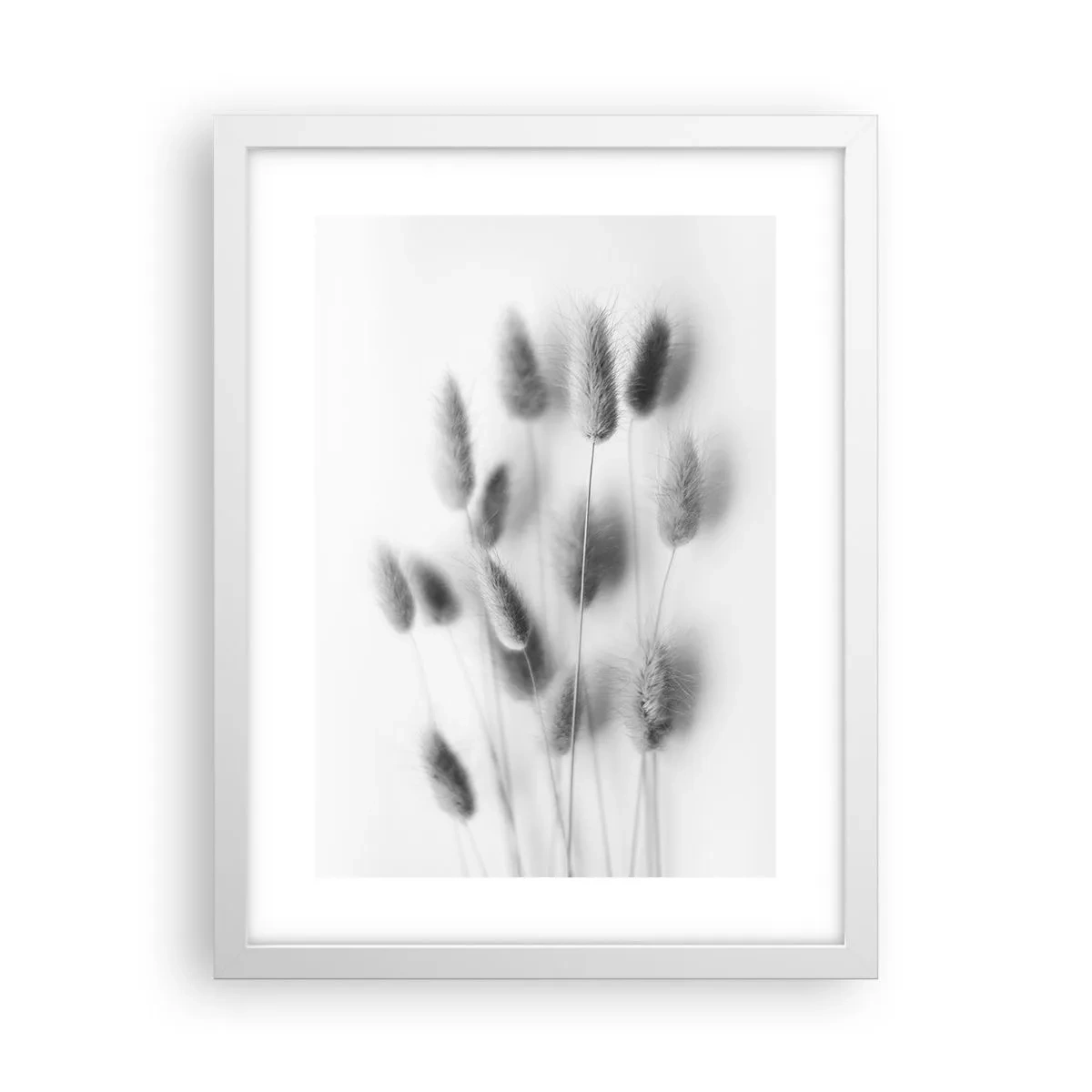 Affisch i vit ram - Fluffigt gräs - 30x40 cm