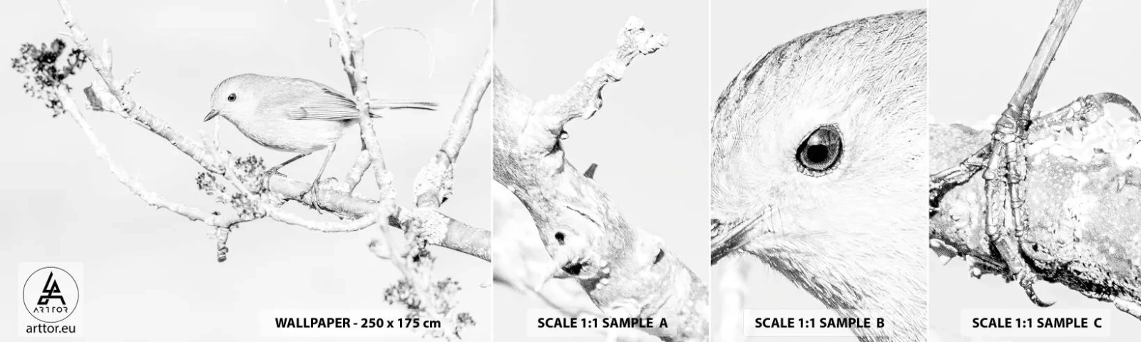 Provbit av självhäftande fototapet Deluxe Sticker - Vintermorgon - Ljus, Fågel, Natur - 100x30 cm