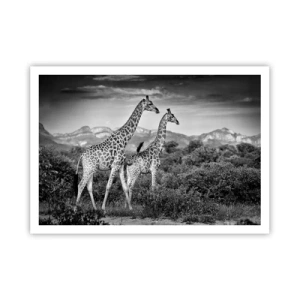 Affisch - Högre klasser i Afrika - 100x70 cm