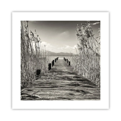 Affisch - I gräsets fristad - 40x40 cm