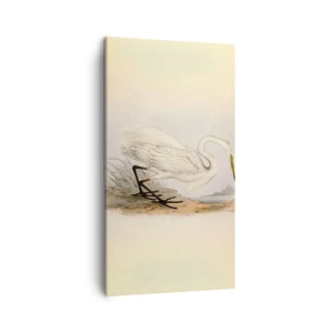 Canvastavla - Bild på duk - En dam i vassen - 45x80 cm