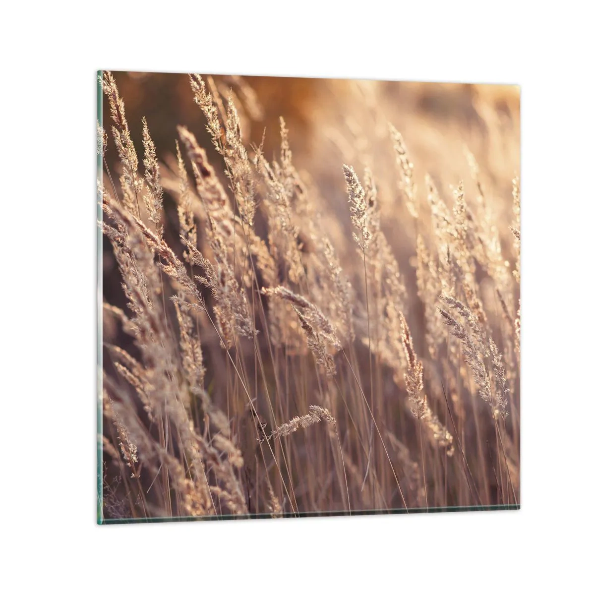 Glastavla - Bild på glas - Redo att välkomna hösten - 50x50 cm