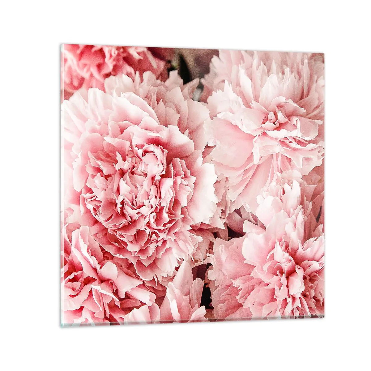 Glastavla - Bild på glas - Rosa dröm - 30x30 cm