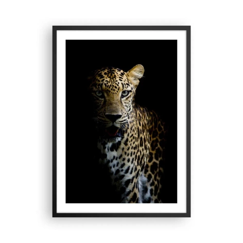 Affisch i svart ram - En leopard mot en mörk bakgrund med livfulla pälsdetaljer. - 50x70cm - Mörk skönhet - Modern väggdekoration för vardagsrum och sovrum ARTTOR