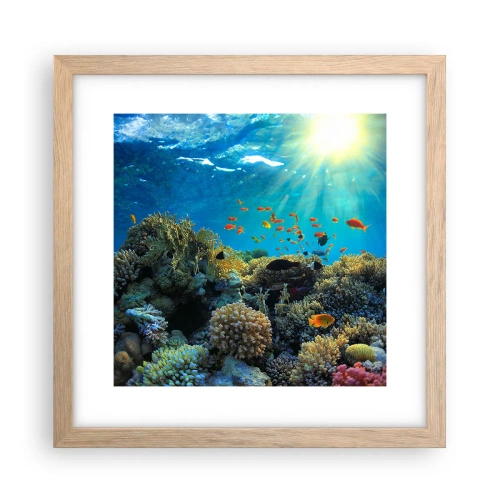 Affisch i ram av ljusek - Undervatenskatter - 30x30 cm