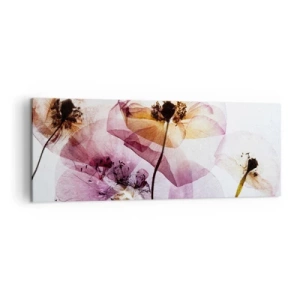 Canvastavla - Bild på duk - Blommornas transparenta kroppar - 140x50 cm