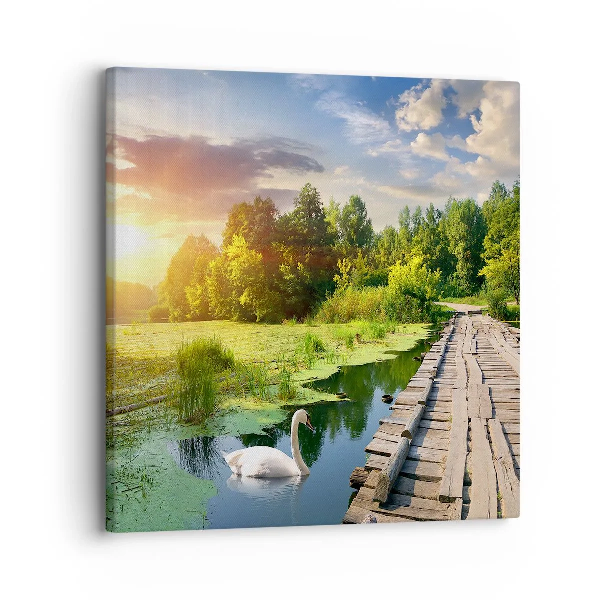 Canvastavla - Bild på duk - Sommar, sommar överallt - 30x30 cm