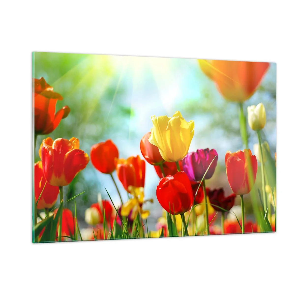 Glastavla - Bild på glas - Solens alla färger - 120x80 cm