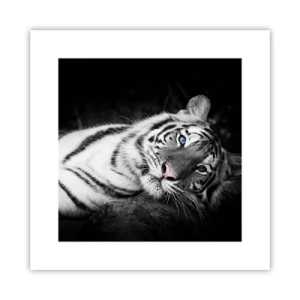 Affisch - Vildhet och lugn - 30x30 cm