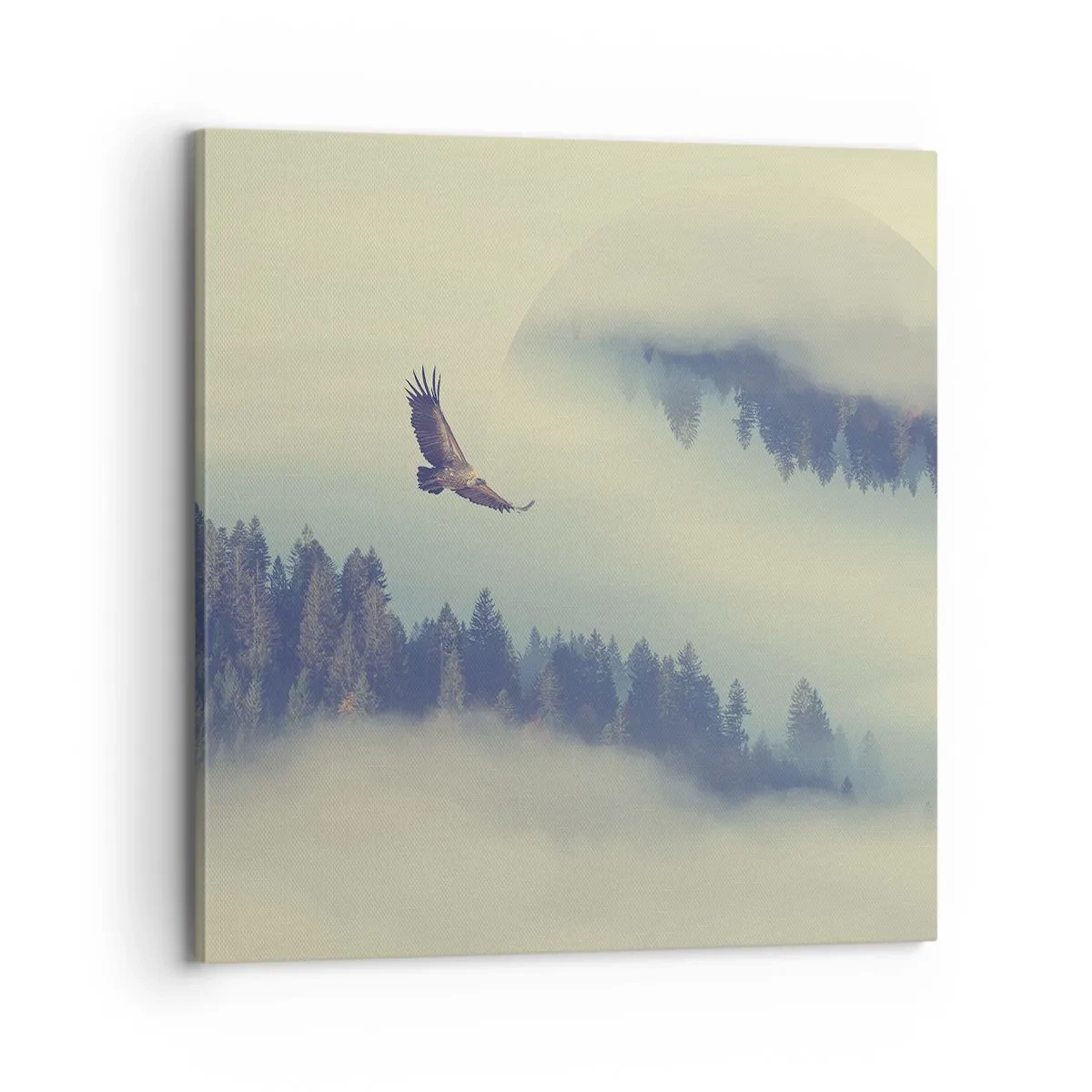 Canvastavla - Bild på duk - Örnens skugga - 70x70 cm