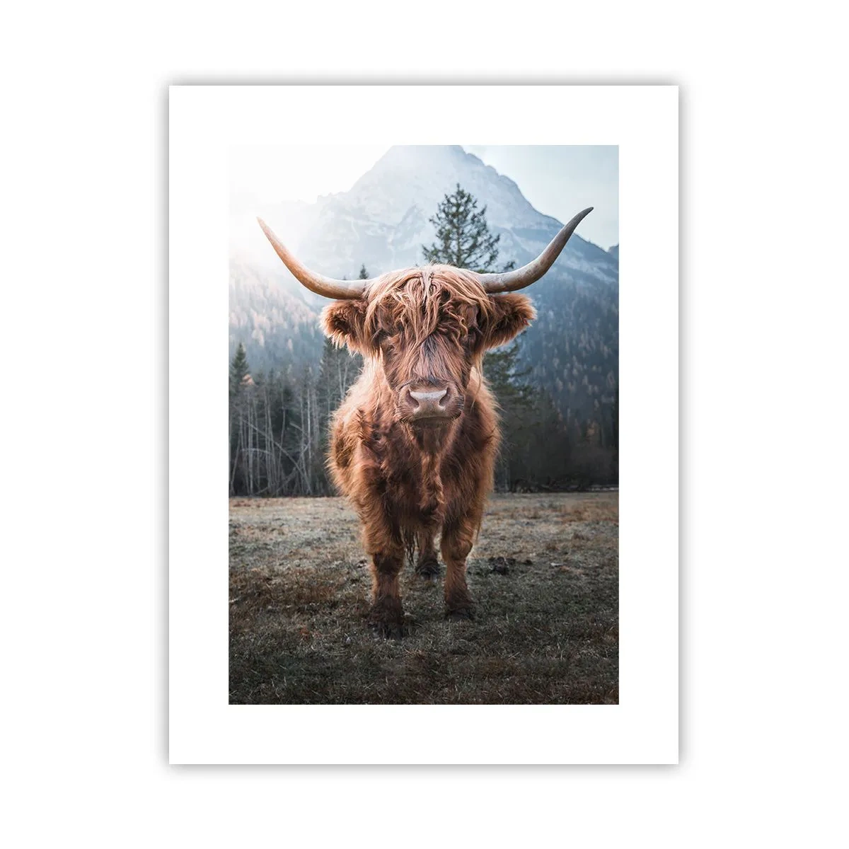 Affisch - Hälsningar från fjälläng - 30x40 cm