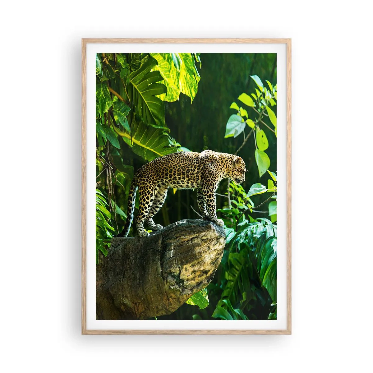 Affisch i ram av ljusek - På jakt? - 70x100 cm