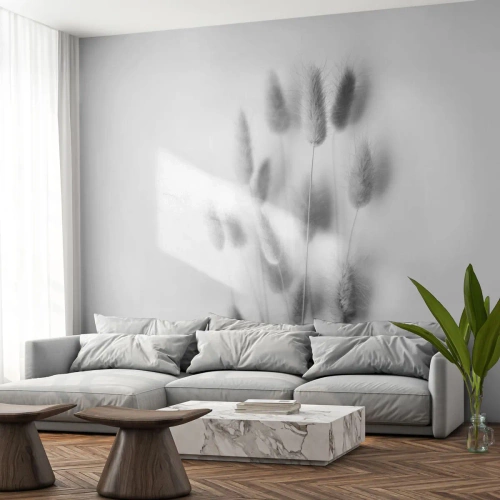 Fototapet Premium Canvas - Fluffigt gräs - Gräs, Svartvitt, Blommor - 250x175 cm