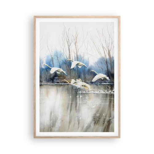 Affisch i ram av ljusek - Som i en saga om vilda svanar - 70x100 cm