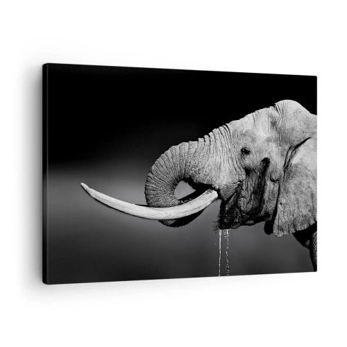 Canvastavla - Bild på duk - Svartvitt porträtt av en elefant i profil - 70x50cm - Ja, nu är det bra - Modern väggdekoration för vardagsrum och sovrum ARTTOR
