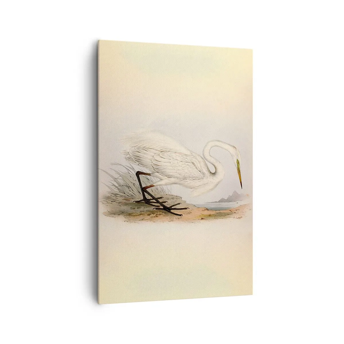 Canvastavla - Bild på duk - En dam i vassen - 80x120 cm