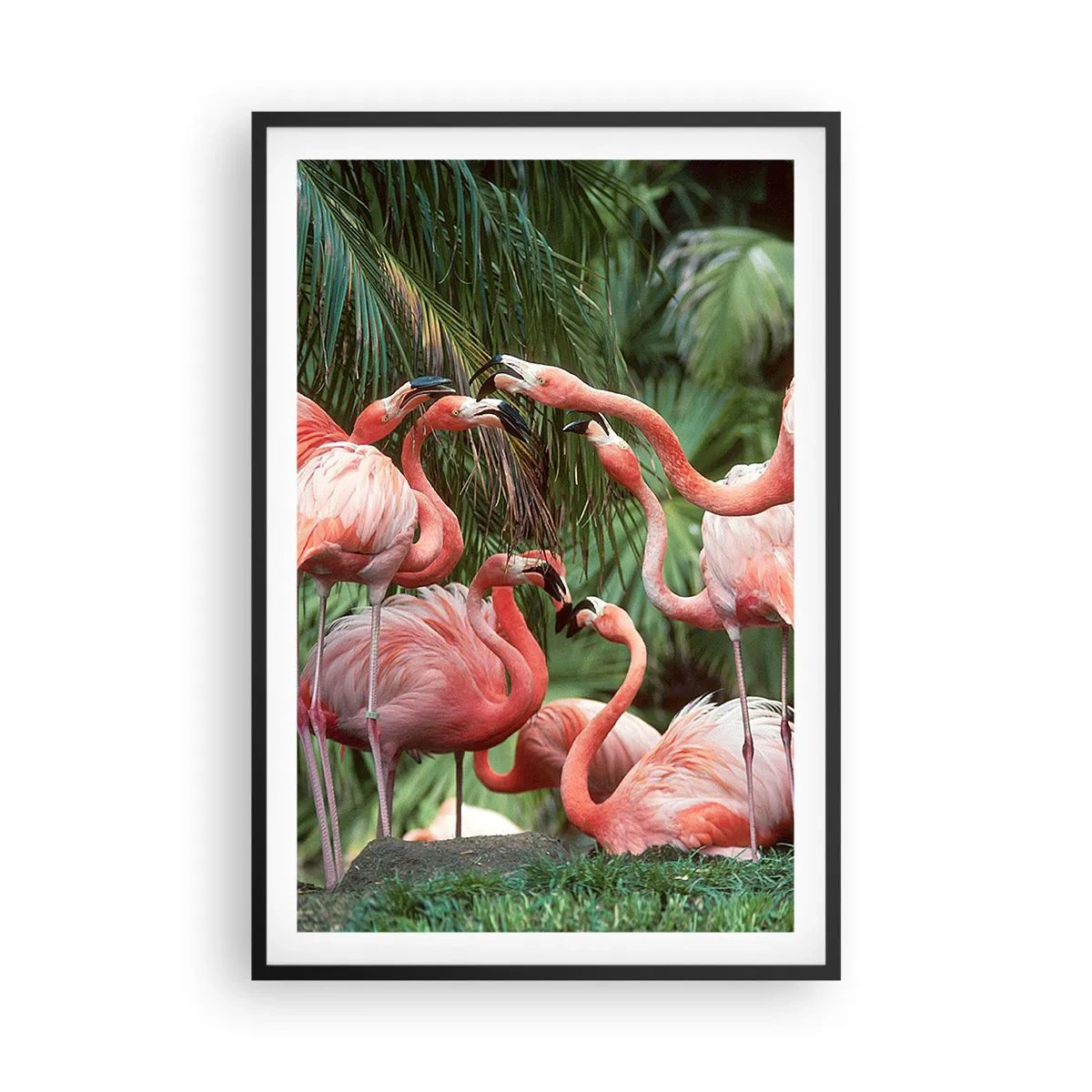 Affisch i svart ram - Eftermiddags skvaller - 61x91 cm