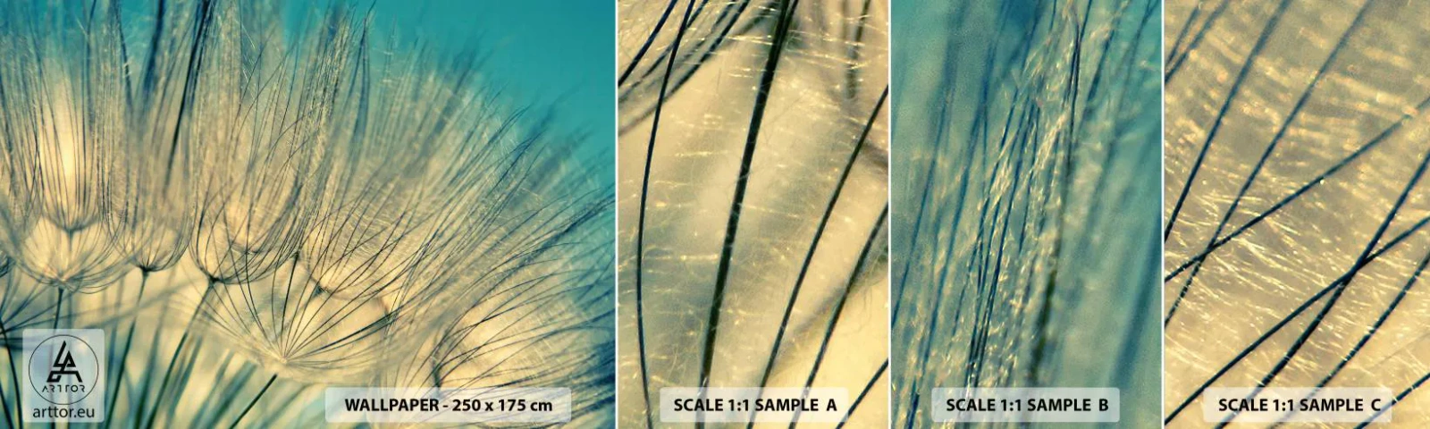 Provbit av självhäftande fototapet Deluxe Sticker - I väntan på vinden - Maskros, Äng, Natur - 100x30 cm