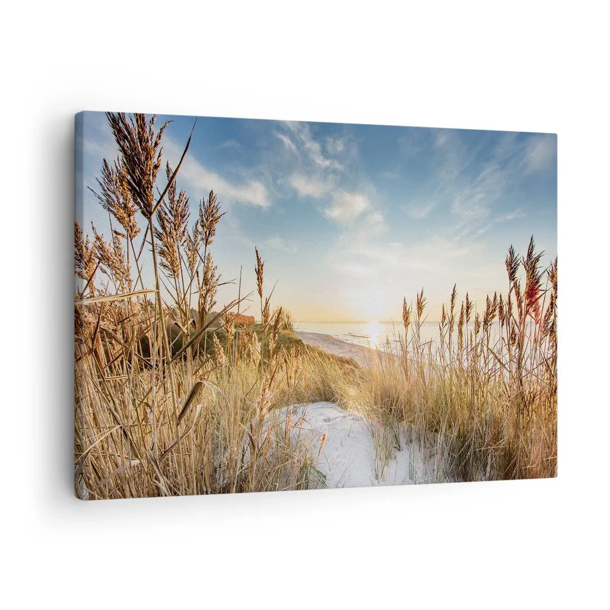 Canvastavla - Bild på duk - En pittoresk strand med gräs och den nedgående solen - 70x50cm - Nordlig strand - Modern väggdekoration för vardagsrum och sovrum ARTTOR
