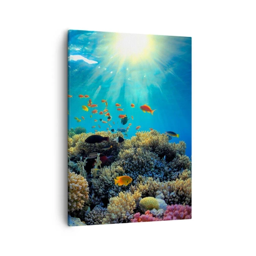 Canvastavla - Bild på duk - Undervatenskatter - 50x70 cm