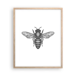 Affisch i ram av ljusek - Porträtt av en insekt - 40x50 cm