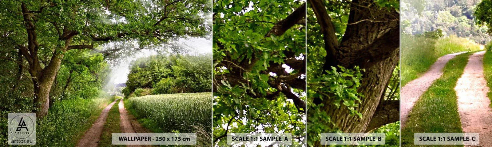 Provbit av självhäftande fototapet Deluxe Sticker - Et in Arcadia ego - Landskap, Grusväg, Natur - 100x30 cm