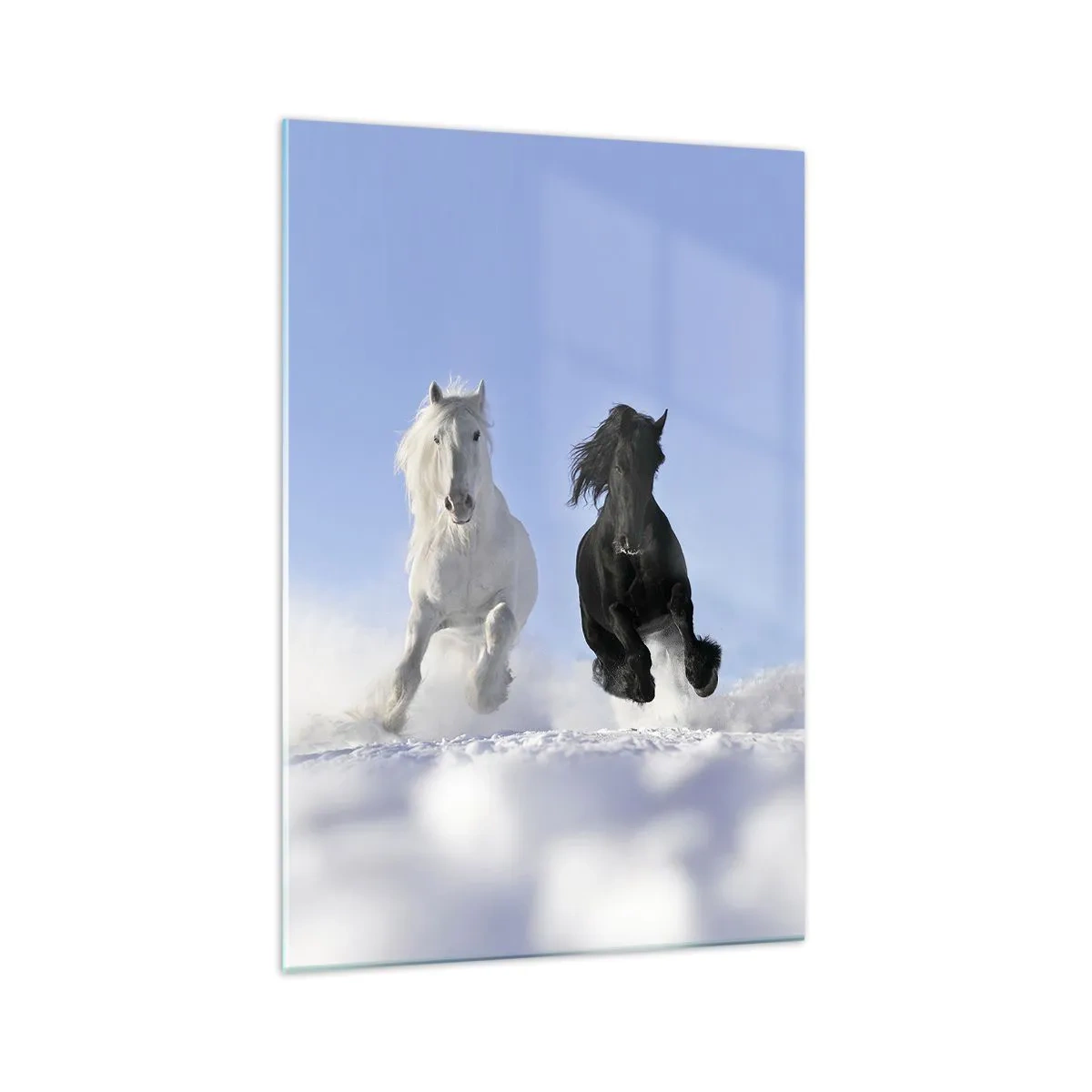 Glastavla - Bild på glas - Svart-vit galopp - 70x100 cm